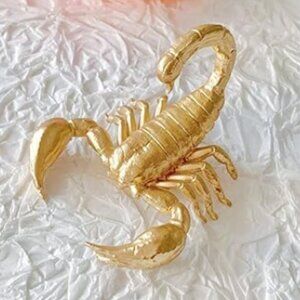 LAST ONE! Scorpion Sculpture Home Decor